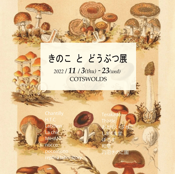 COTSWOLDS　ジョンソンタウン店　きのことどうぶつ展 2022